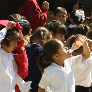 Asma bronquial es frecuente en pre-escolares y escolares