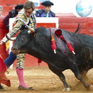 Bautista, 'El Cuate' y Fermín Rivera lidiarán en La México