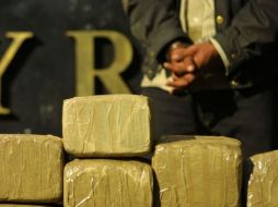 El tráfico de marihuana sigue representado la principal fuente de ingresos de los cárteles. ARCHIVO  /