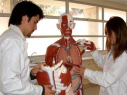 Se solicitan médicos generales y especialistas para Semar. ESPECIAL  /