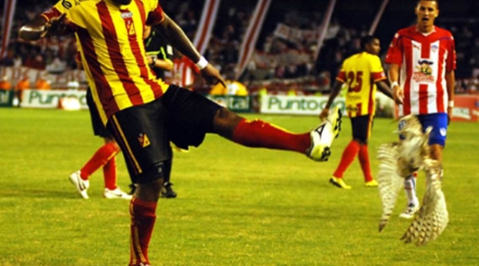 el jugador ha recibido amenazas luego de la patada que propinó a una lechuza. ESPECIAL  /