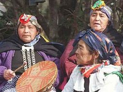 La comunidad mapuche exigen la devolución de sus tierra ancestrales. ESPECIAL  /