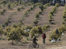 El siguiente paso que es que se logre acreditar: Zapotiltic, Tuxpan, Concepción de Buenos Aires y Tamazula. ARCHIVO  /