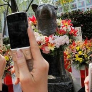 Desentrañan misterio en la muerte del perro más famoso de Japón