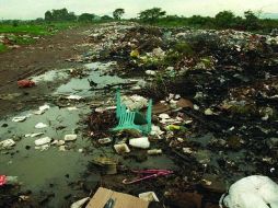 Se llevará a cabo con el fin de de evitar que el mosco que transmite el dengue se reproduzca. ARCHIVO  /