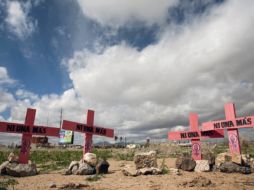 Los asesinatos de mujeres son frecuentes en el campo algodonero de Ciudad Juárez, Chihuahua. AFP  /