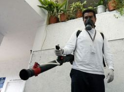 Autoridades pretenden continuar con el reforzamiento de las acciones en contra del mosco. ARCHIVO  /