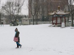 Afirma que hará sus deberes de mejor manera pero según su formato de desarrollo. EFE  /