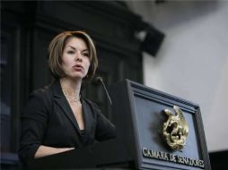 El tema de la mujer dentro de la política aún se encuentra limitado, según Conapred. EFE  /