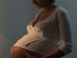 PRD apoya decisión de interrumpir embarazo si es lo que desea la madre. ESPECIAL  /