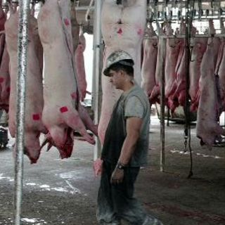 Sin riesgo por metales, consumo de carne en la ciudad