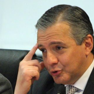 'Yo no me corto las alas' rumbo a 2012: Félix Guerra