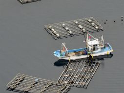 La amenaza de tsunami se encuentra viva en las costas del país asiático. REUTERS  /