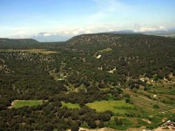 Pretenden impedir que que la mancha urbana siga invadiendo a las áreas naturales. ARCHIVO  /