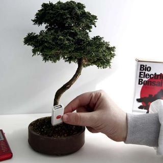 El futuro de la nanotecnología es el autoensamblado