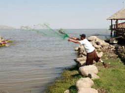 Cipriano pretende sacar tilapia y carpa porque es su comida del día. E. PACHECO  /