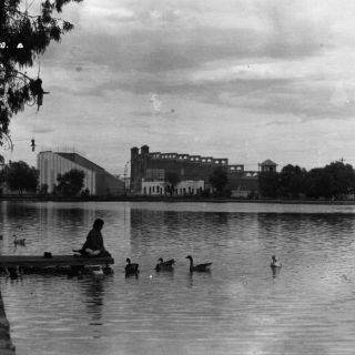Agua y bosques tapatíos, preocupación del siglo XIX