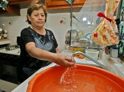 Hoy comienzan los tandeos en colonias, medida que se prolongará hasta mayo. E. PACHECO  /