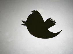 Los mensajes de la red social se llaman ''tweet'' (pío, en inglés)  /