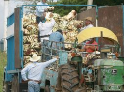 En 2010 sobresalió la exportación de cerveza y tequila, superando montos del turismo. ARCHIVO  /