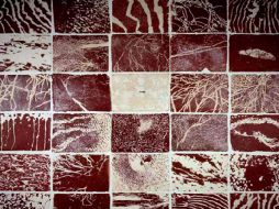 El pintor colaborado con escritores para la edición de libros de autor meticulosamente ilustrados .JANHENDRIX.COM  /