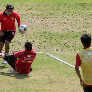 Galindo adelanta que habrá cambios en su formación