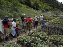 Los connacionales eran portadores de visas temporales de trabajo (H2A). EFE  /