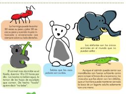 Los elefantes son los únicos animales en el mundo que no pueden saltar . EL INFORMADOR  /