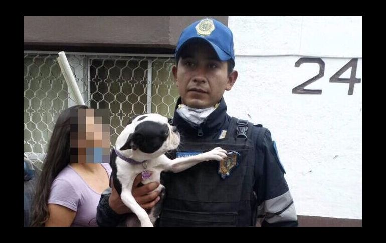 La perrita fue sacada por un oficial mientras removían los restos de un inmueble en la colonia Girasoles