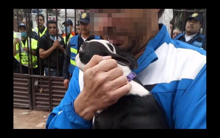 La cachorrita fue regresada a su dueño, quien la recibió con un beso y abrazo.