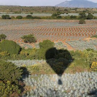 Turismo propone diversas alternativas para 'puente vacacional'