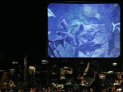 La Orquesta Filarmónica de Jalisco presentó una selección netamente acuática en la explanada del Zoológico Guadalajara. M. FREYRÍA  /
