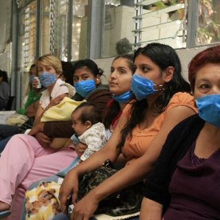 Senado pide informes de vacuna contra influenza H3N2