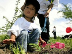 Una de sus finalidades es contribuir con el ahorro de un salario mínimo por día e incidir en la nutrición infantil. ARCHIVO  /
