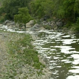 Piden acciones contundentes para abatir contaminación del agua
