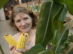 Lois Wright Morton es la encargada de uno de los tres proyectos sobre los efectos del cambio climático en cultivos y bosques. AP  /