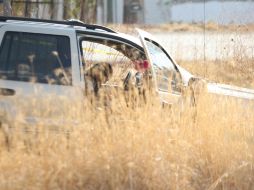 Adentro de una camioneta quedó el cuerpo de uno de los agredidos. NTX  /