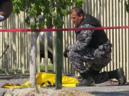 Un policía estatal cubre una de las granadas para evitar que explote mientras que es manipulada para ser desactivada. M. PATIÑO  /