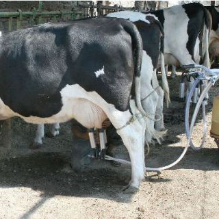 Sagarpa y Seder apoyan aumento de precio de la leche