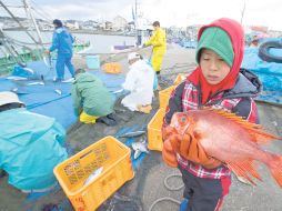 Un menor ayuda a su familia a transportar el producto de la pesca, en el puerto de Ohara, al sur de Fukushima. EFE  /
