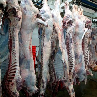 Japón, en la mira de productores locales