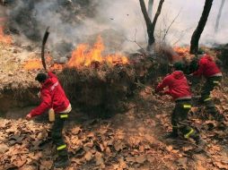 Más del 60% de las deflagraciones en bosques y selvas inician como prácticas agropecuarias, indican. ARCHIVO  /