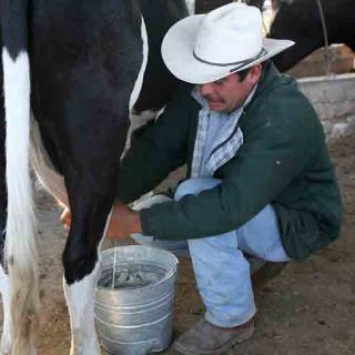 Liconsa pagará 30 centavos más a sus lecheros