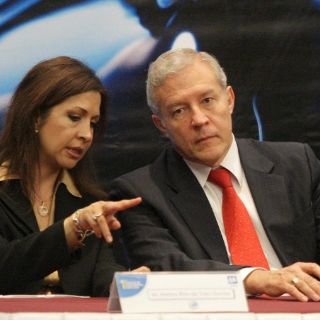 Pugna diputado para conseguir mejor perfil ante salida de Martha Ruth