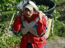 La economía del país aún no se recupera del terremoto ocurrido hace un año. ARCHIVO  /