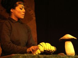 Escena de La oruga muy hambrienta, obra de títeres a cargo de El Tlakuache. A. HINOJOSA  /