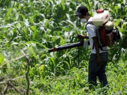 La SSJ resalta que continuará difundiendo las medidas preventivas antes del temporal de lluvias. ARCHIVO  /