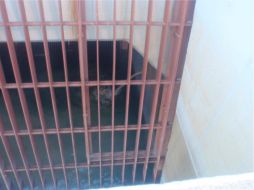 Radiactivo contaminado de la planta nuclear de Fukushima Daiichi llega al agua por una grieta. REUTERS  /