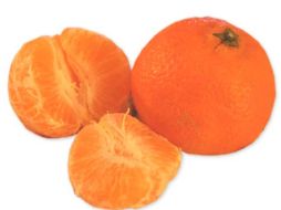 Los ratones tratados con Nobiletin fueron protegidos contra la obesidad. ESPECIAL  /