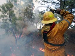 El incendio se registró el pasado 5 de abril en la zóna próxima al Autódromo Hermanos Gallo. A. GARCÍA  /